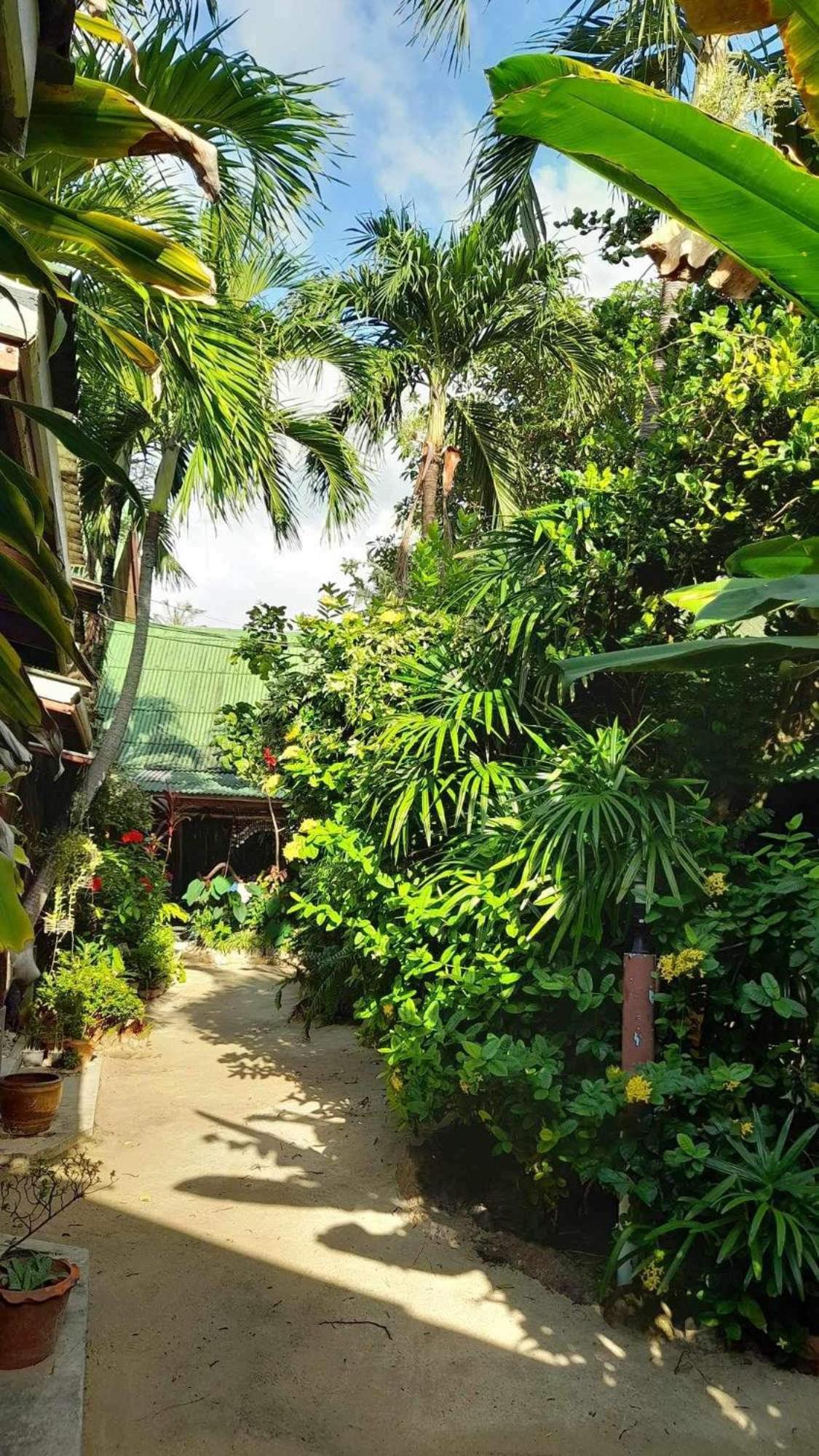 Beer'S House Bungalows เบียร์เฮ้าส์บังกะโล Ban Lamai 外观 照片