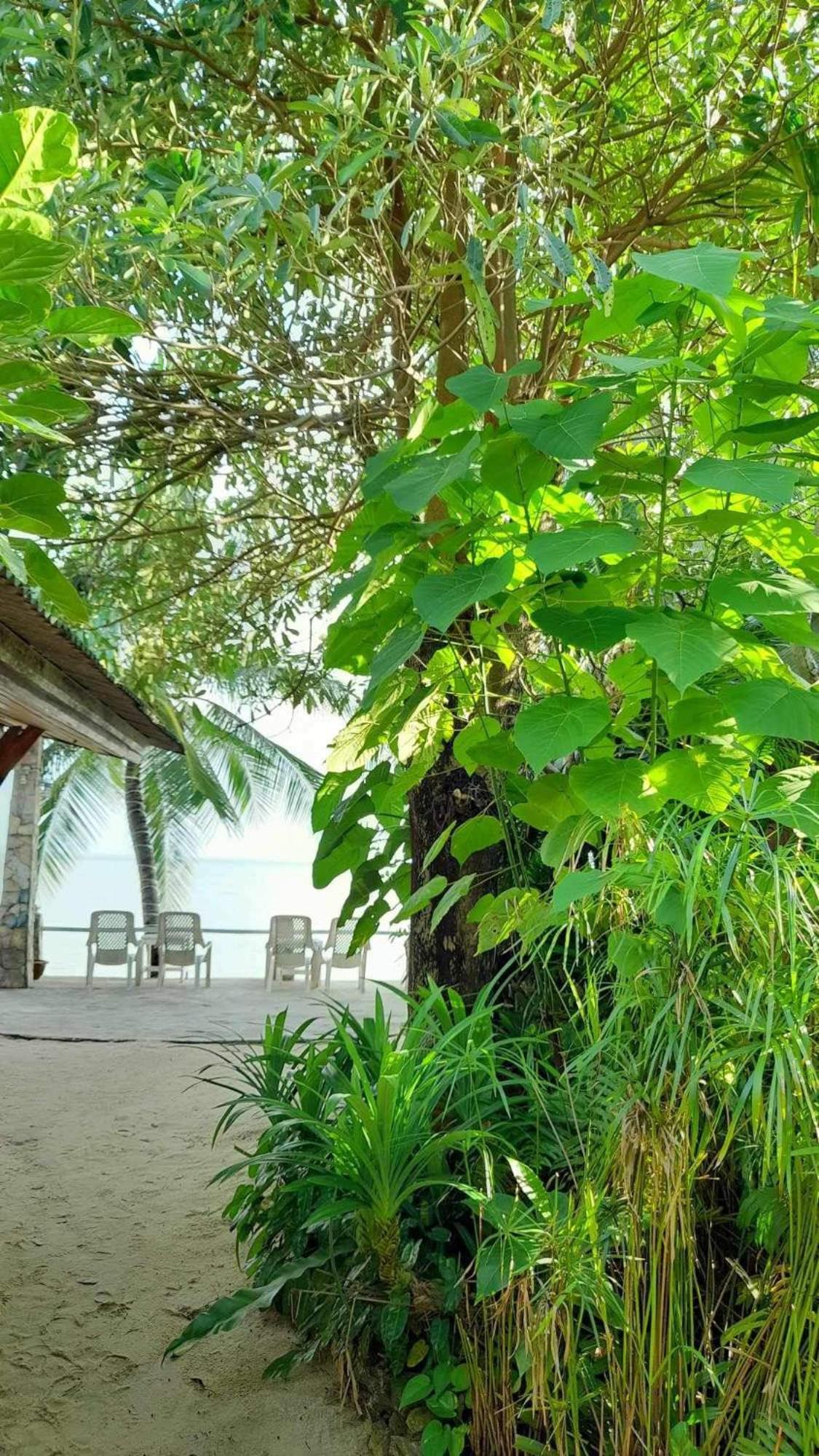 Beer'S House Bungalows เบียร์เฮ้าส์บังกะโล Ban Lamai 外观 照片