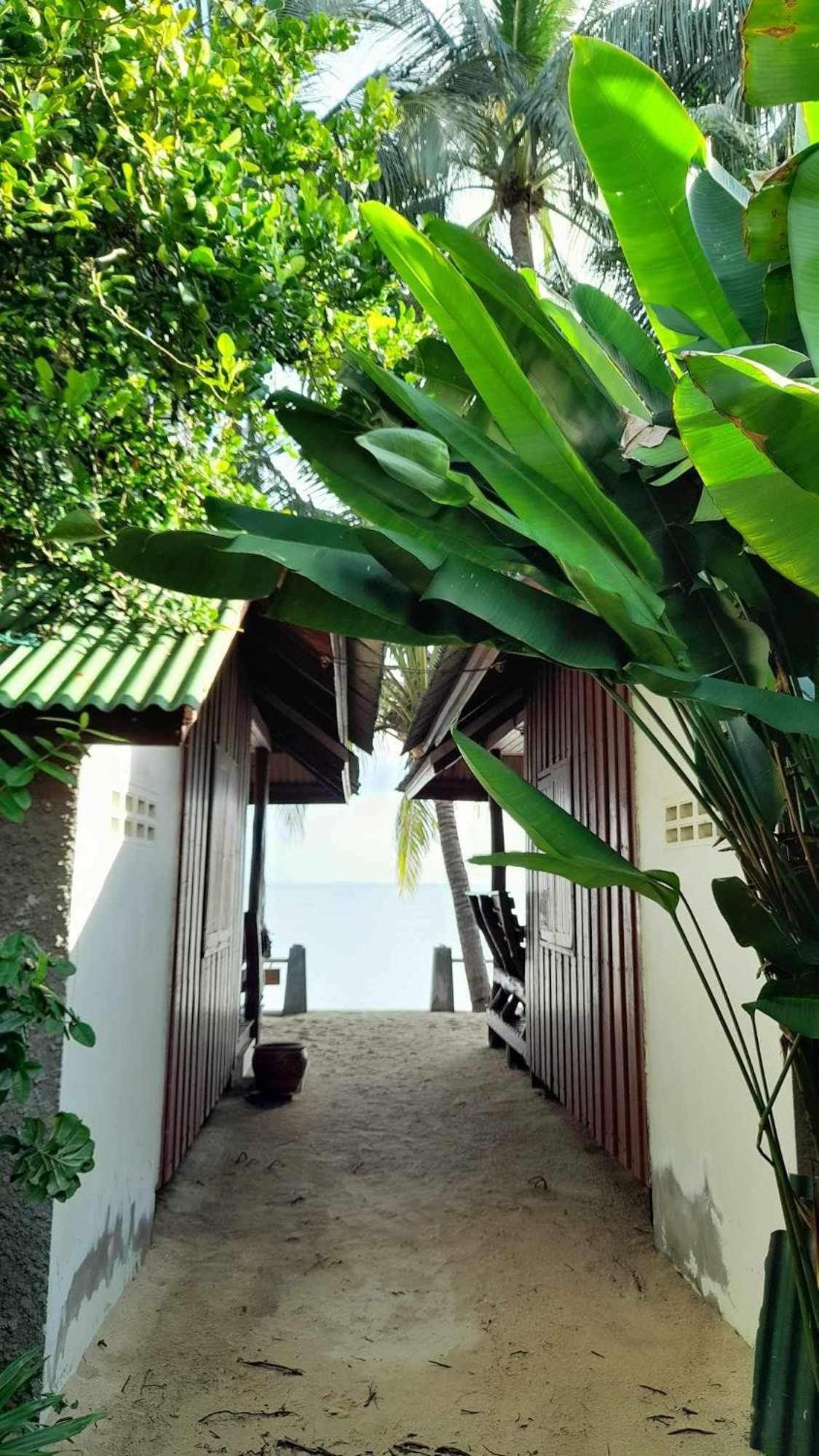 Beer'S House Bungalows เบียร์เฮ้าส์บังกะโล Ban Lamai 外观 照片