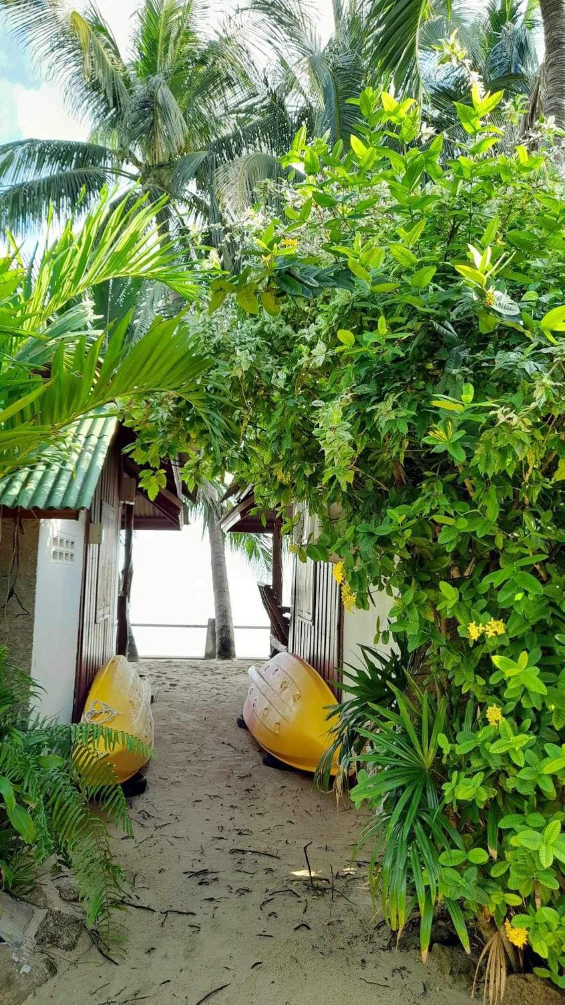 Beer'S House Bungalows เบียร์เฮ้าส์บังกะโล Ban Lamai 外观 照片